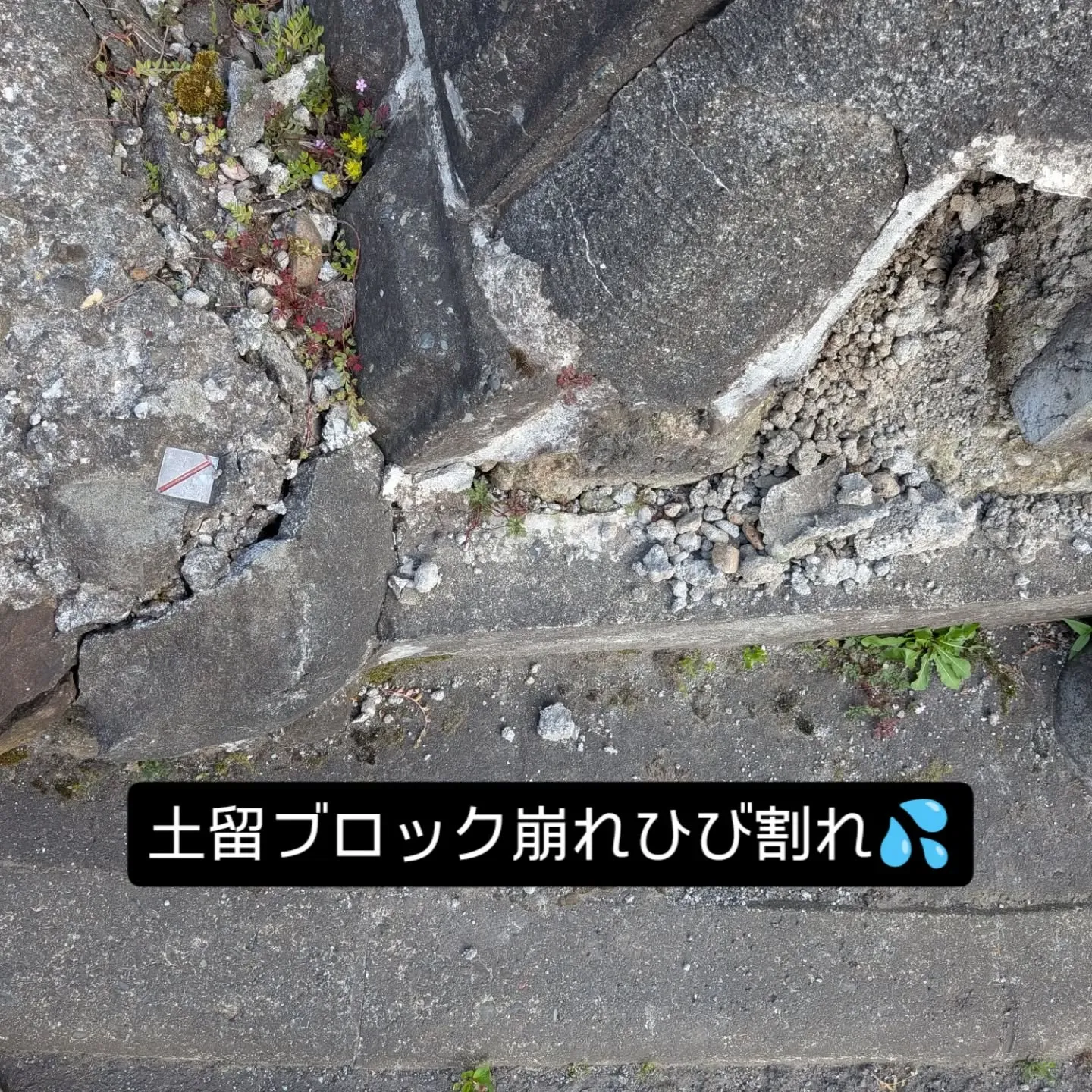金沢屋札幌もいわ店です😊